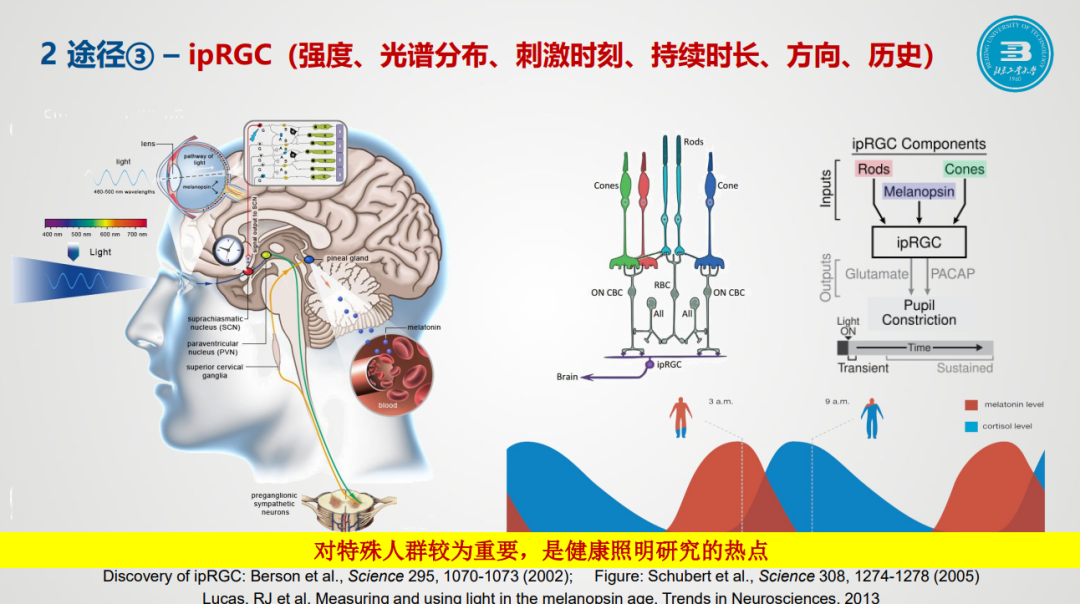 主题报告：建筑采光与健康照明