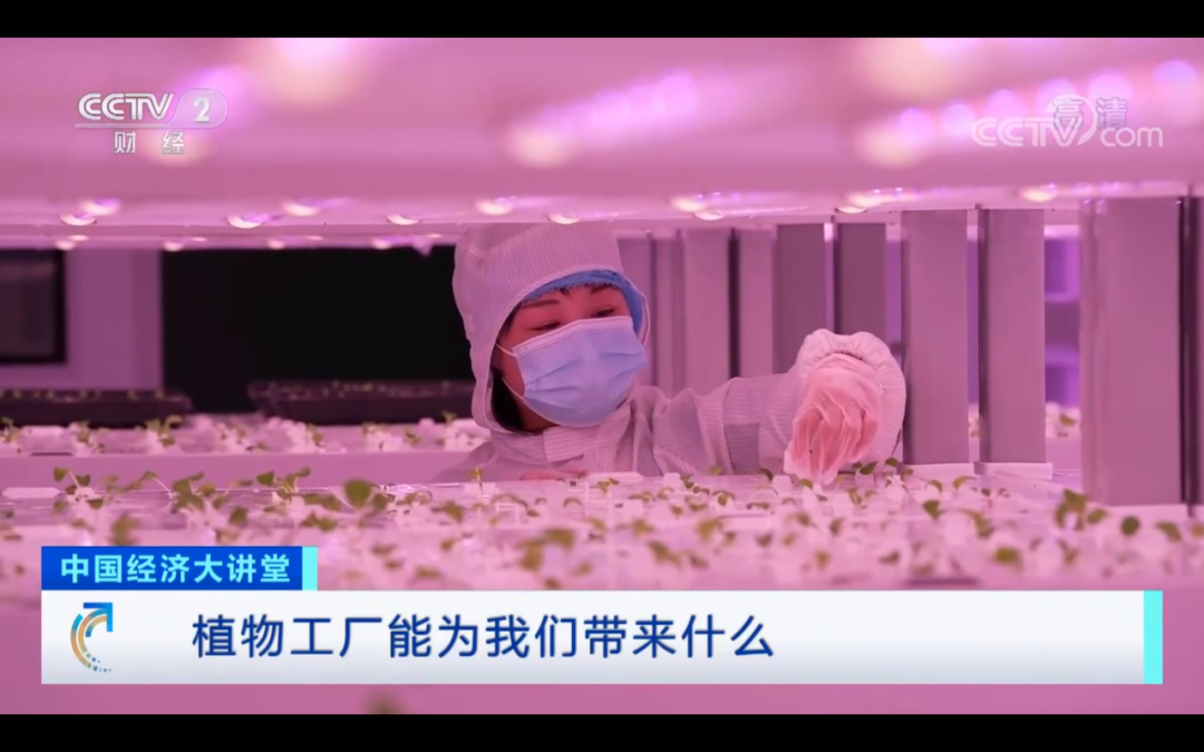 CCTV2《中国经济大讲堂》| 杨其长：​植物工厂能为我们带来什么？