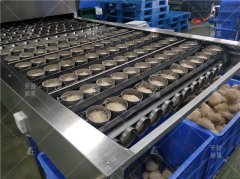 丽星碗装粉丝制作机器_速食粉丝生产线加工冲泡粉丝一次成型