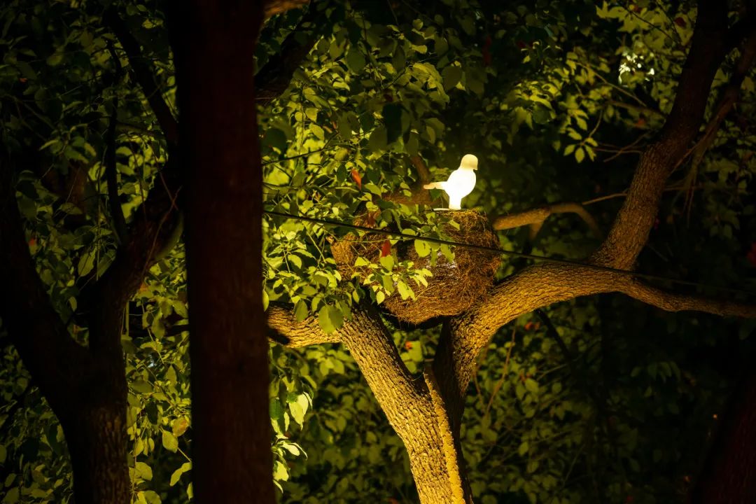 上海杨浦区大学路开启华丽灯光夜景模式