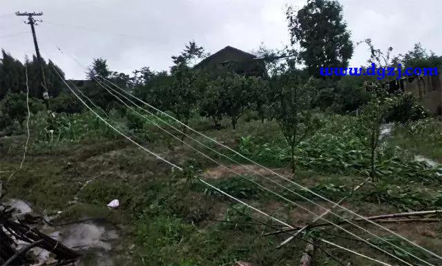 电灯零线接地电灯亮吗