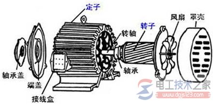 三相异步电动机烧掉的几大原因