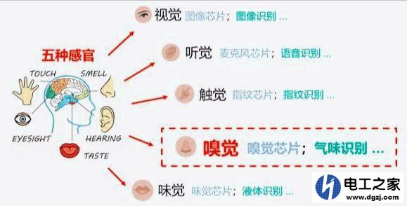 气味传感器和味道传感器的方向在哪里