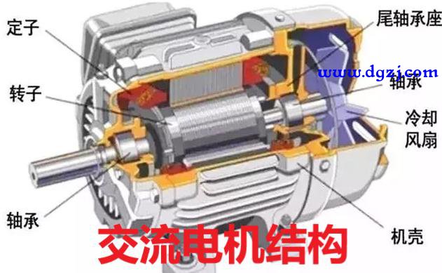 电机定子和转子工作原理