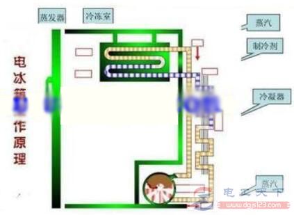 冰箱胶条发霉用什么清洗