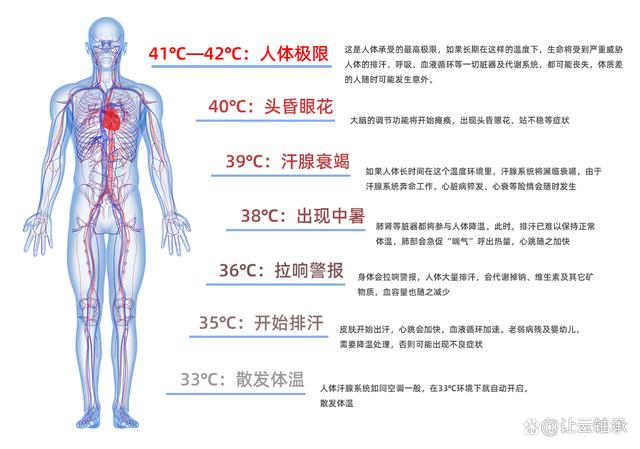 高温轴承能耐多高温度？