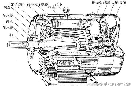 三相鼠笼式异步电动机的结构图解