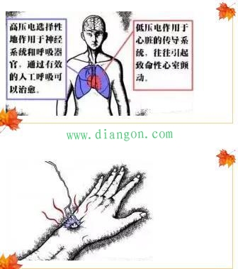 穿绝缘鞋会触电吗?绝缘鞋什么情况下必须穿?穿绝缘鞋摸火线会触电吗? 穿绝缘鞋会触电吗?绝缘鞋什么情况下必须穿?穿绝缘鞋摸火线会触电吗?