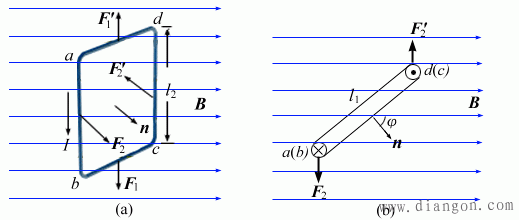 载流线圈在磁场中的运动 载流线圈在磁场中的运动