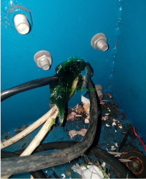 相比电器电路本身的故障和人为误损坏 这种情况更令电工恼火而且难防