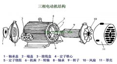 三相正弦交流电动势的产生