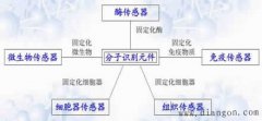生物传感器分类与特点