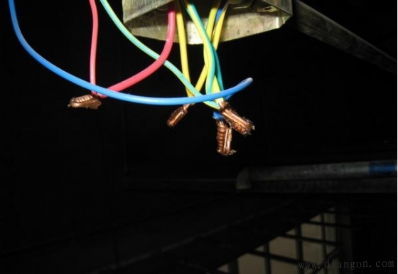 电气施工中需注意的问题和正确处理方法