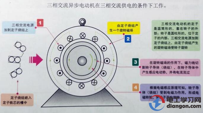 三相异步电动机旋转原理是什么? 三相异步电动机旋转原理是什么?