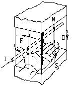 磁场对通电导线的作用 磁场对通电导线的作用