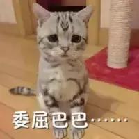 智能电表故障报警代码详解 智能电表故障报警代码详解