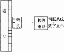 磁尺位置检测装置
