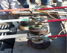 一起动物误入施工变间隔引起变压器差动保护动作事件