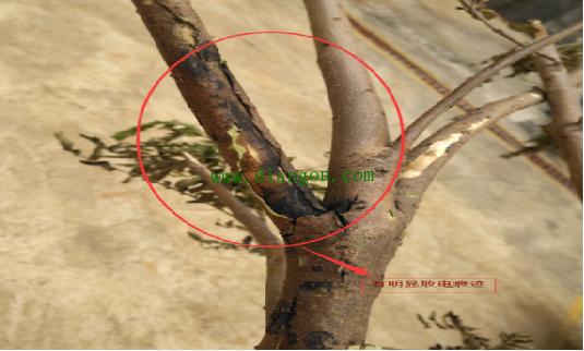 干货！一起220kV线路纵差保护动作事件反思