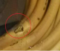 一起二次电缆线芯受损导致保护动作事件简析