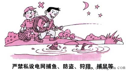 家庭安全用电事故的预防和救护