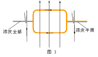 直流电动机的原理和基本构造