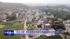 “亮化工程”照亮广东茂名化州林尘镇荔枝埒村乡村振兴路