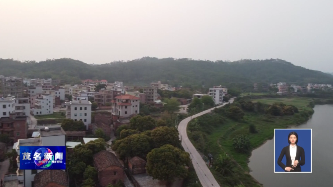 “亮化工程”照亮广东茂名化州林尘镇荔枝埒村乡村振兴路