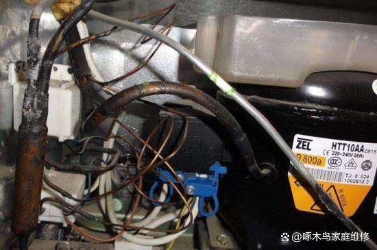 冰箱不制冷是哪里出问题
