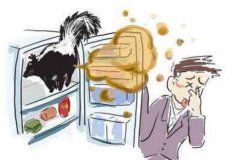 电冰箱有异味怎么回事?看看是不是这些原因