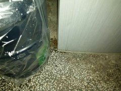 冰箱漏水有什么影响？说大不大说小也不小
