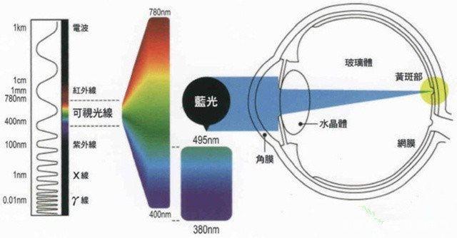 理讨：电子产品贴上抗蓝光膜真的可以护眼吗？