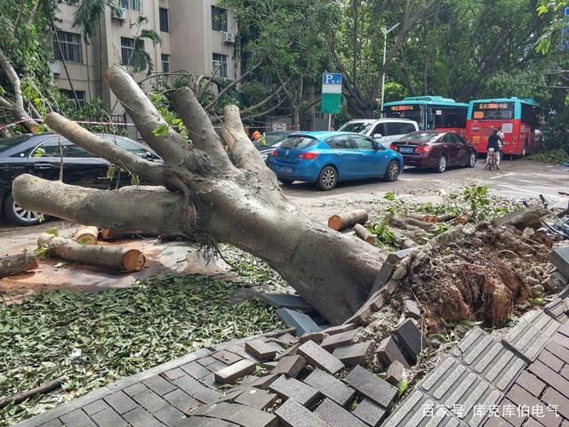 请查收：暴雨天气，出行and家中用电的“行为准则”