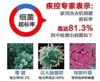 网上流传“洗衣机清洗小龙虾”？这个操作使不得，洗衣机实在太脏