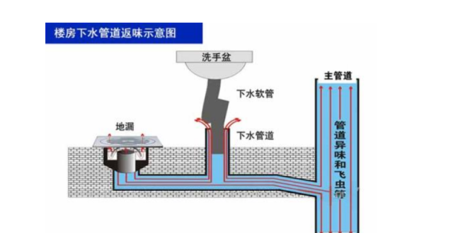 卫生间装修时，小心别搞错了这两个地方，难怪不少家庭的地漏返臭