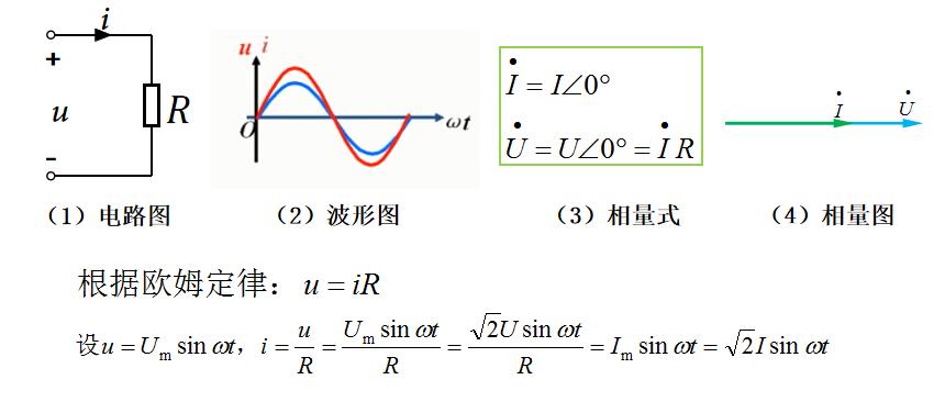 电气新手必知：单一参数正弦交流电路（专业电气学姐带你学三十二）