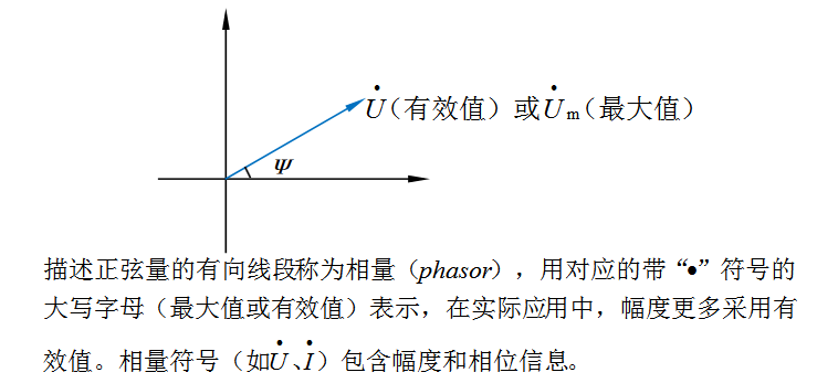 电气新手必知：正弦量的相量表示（专业电气学姐带你学三十）