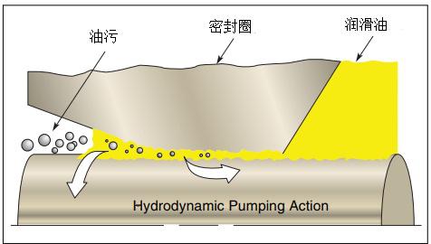 高性能的动态油封结构设计