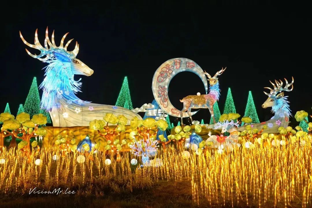 超百万盏星空灯点亮浙江宁波“不夜村”