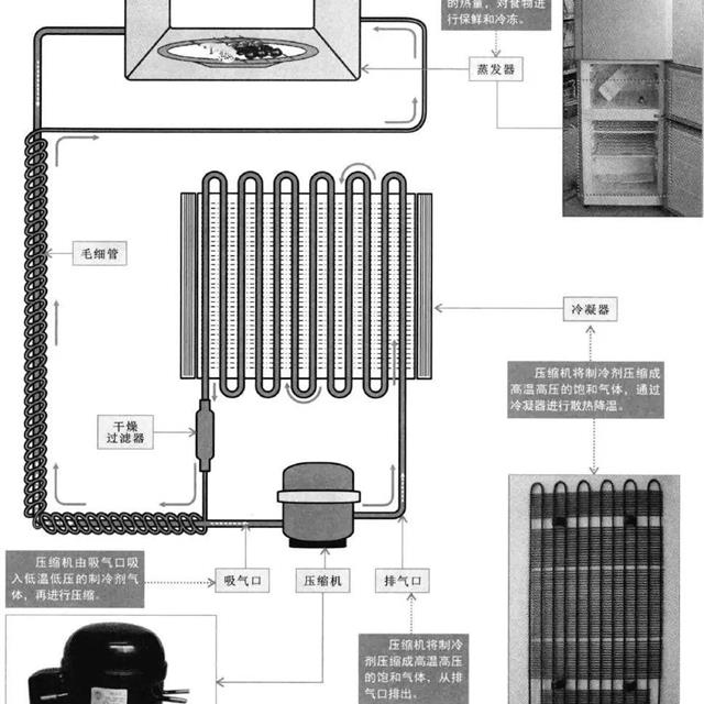 电冰箱压缩机的结构和功能原理