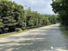 广东江门鹤山市双合镇道路亮化工程见成效