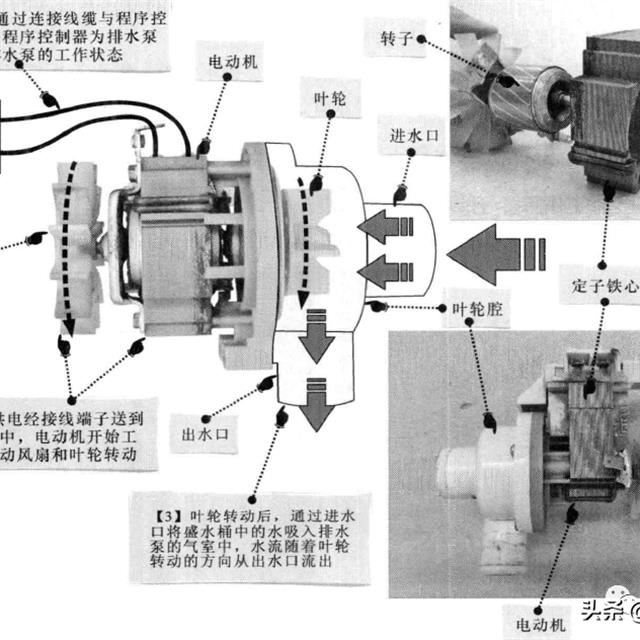滚筒洗衣机排水泵的结构和原理