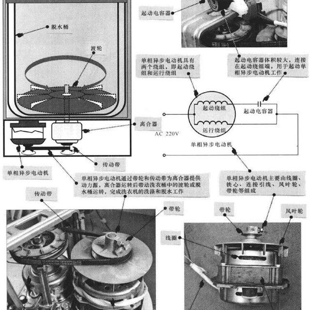 波轮洗衣机电动机及离合器的工作原理