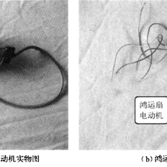 学修电风扇~电风扇的内部组件