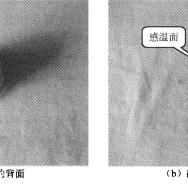 电饭煲的内部主要组件