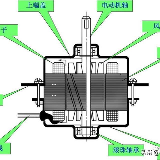 普通双桶波轮式洗衣机的结构及组成原理