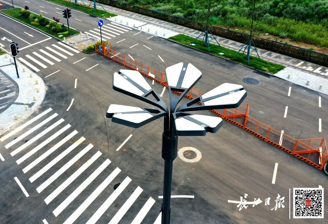 智慧路灯为武汉新城核心区科学岛西路增添科技感