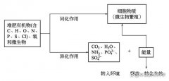 好氧堆肥的基本原理