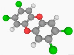 污泥二噁英的控制技术