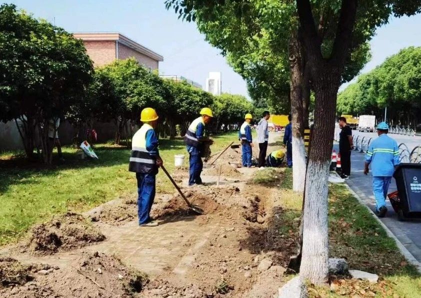 上海松江区洞泾镇照明设施节能改造工程开工